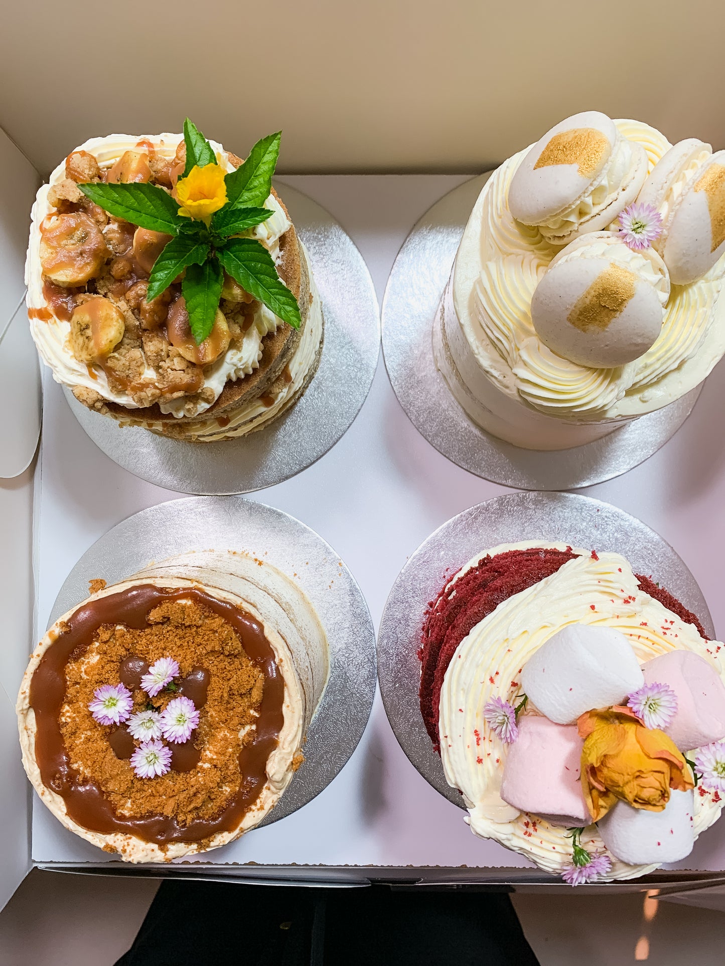 Taster Box