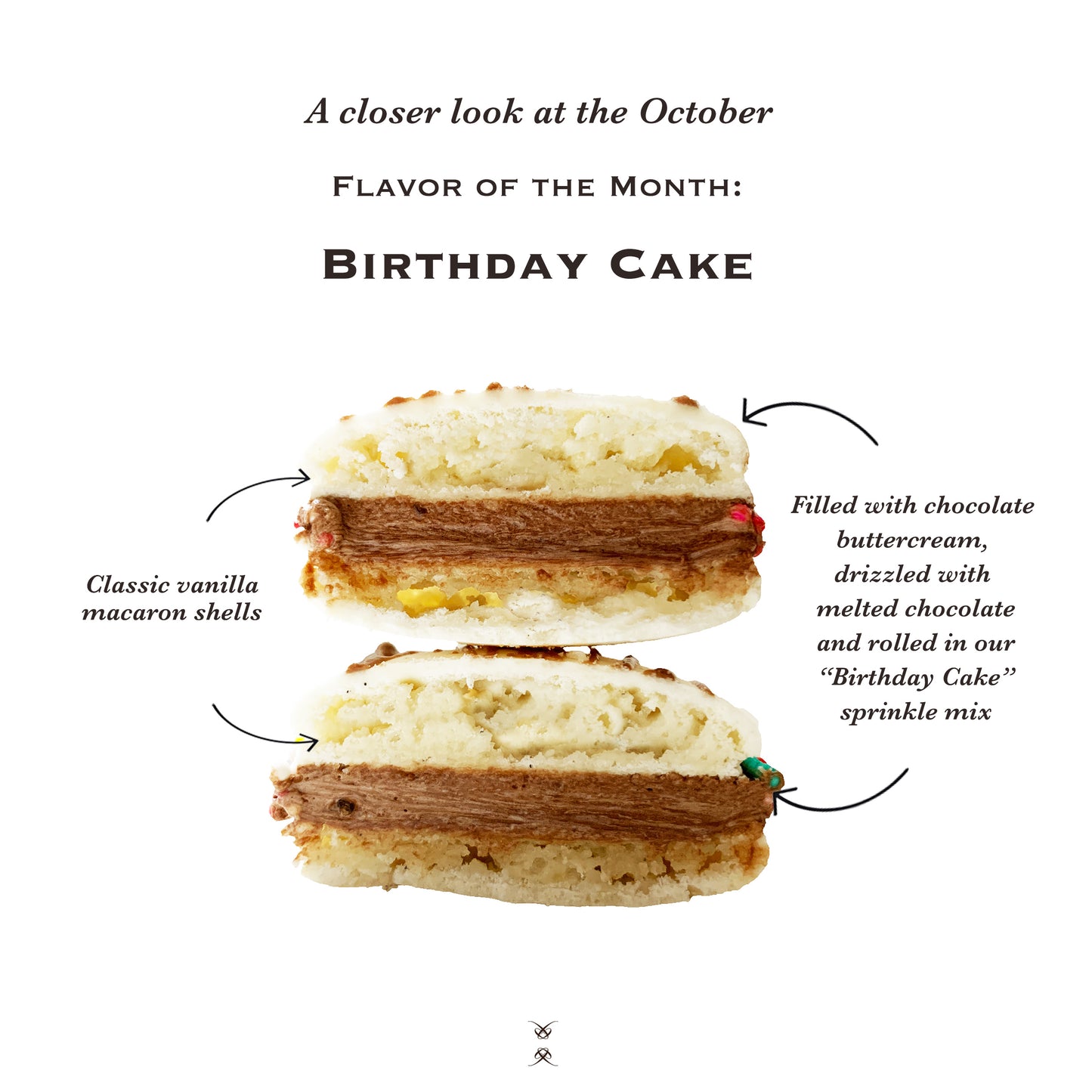 The October 2025 Flavor of the Month Macaron: Birthday Cake